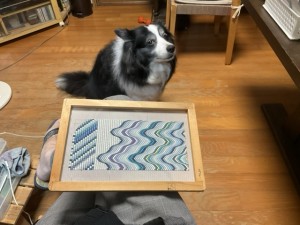 42D1D976-5B70-4B18-9BF2-BC442F7C6D71