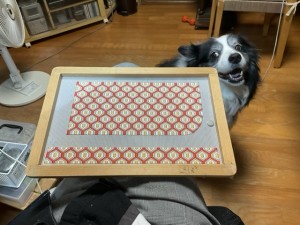 B63EF9ED-8819-4E78-982D-68778F656E46