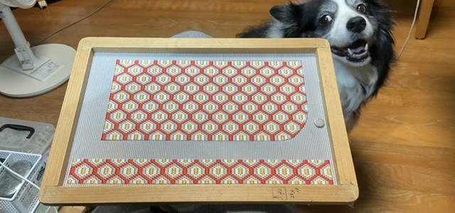 B63EF9ED-8819-4E78-982D-68778F656E46